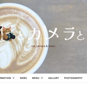 サイトリニューアル