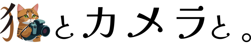 猫とカメラと。